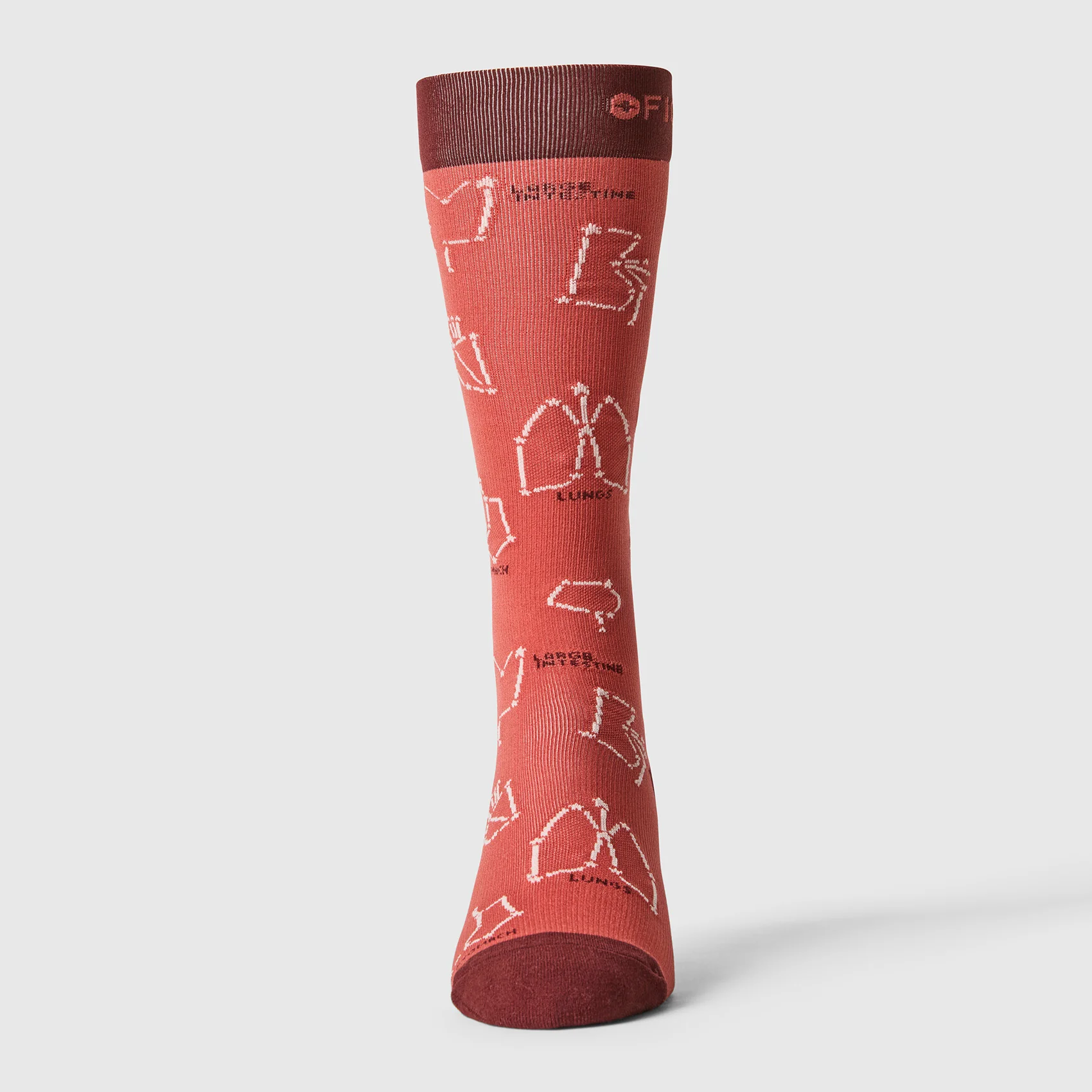 men's Spiced Cider You're Stellar - Compression Socks - Image 3
